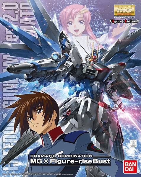 Dramatic combination [MG Freedom Gundam Ver.2.0 & Kira Yamato]
