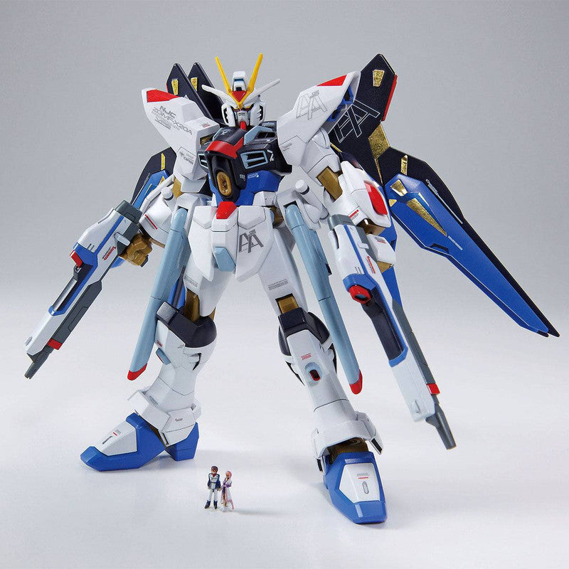 HG 1/144 ZGMF-X20A Strike Freedom Gundam Ver.GFT