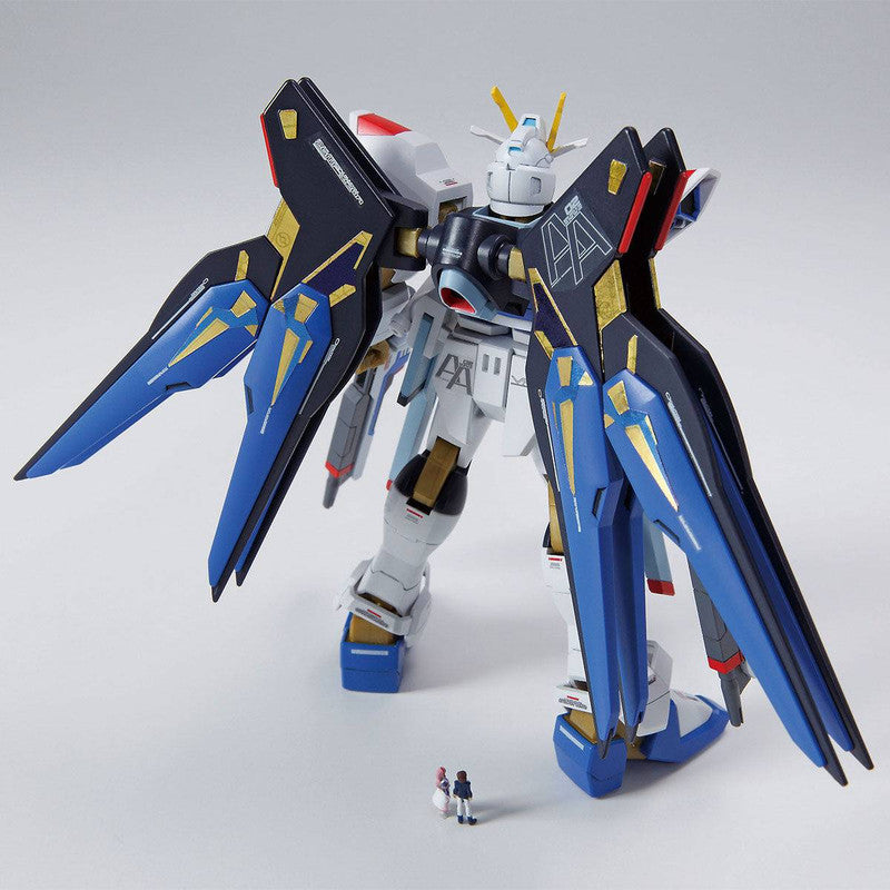 HG 1/144 ZGMF-X20A Strike Freedom Gundam Ver.GFT