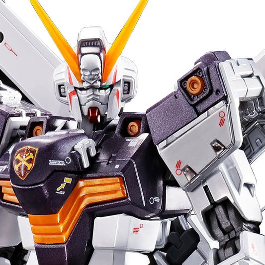 Gunpla Expo Tokyo RG 1/144 Crossbone Gundam X1 Titanium Finish